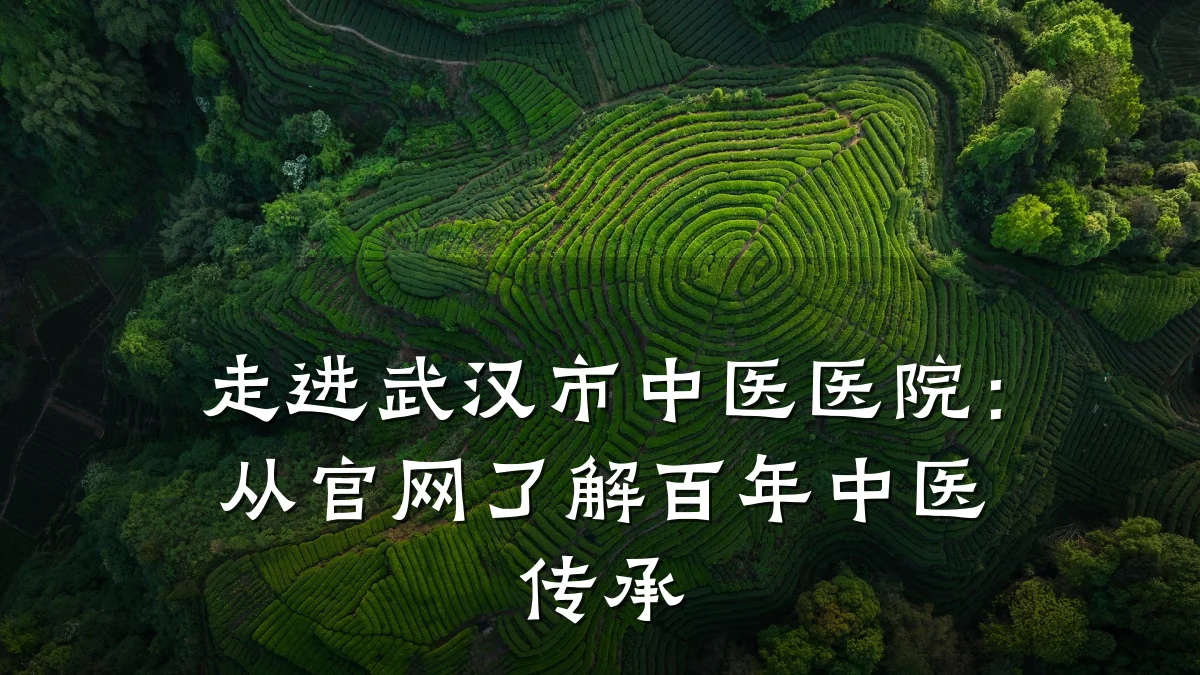 走进武汉市中医医院:从官网了解百年中医传承
