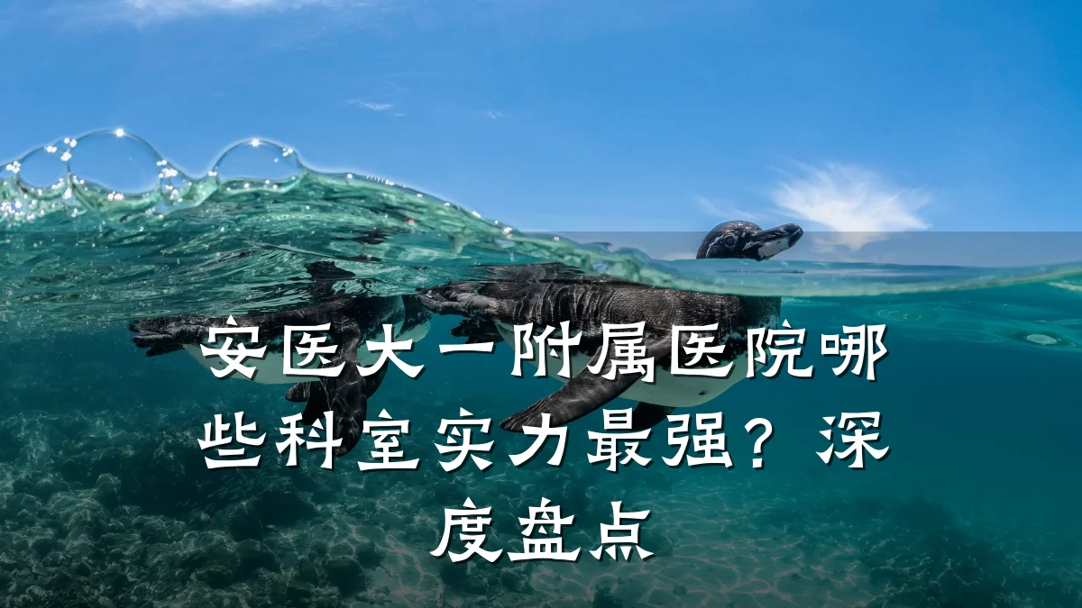 安医大一附属医院哪些科室实力最强？深度盘点