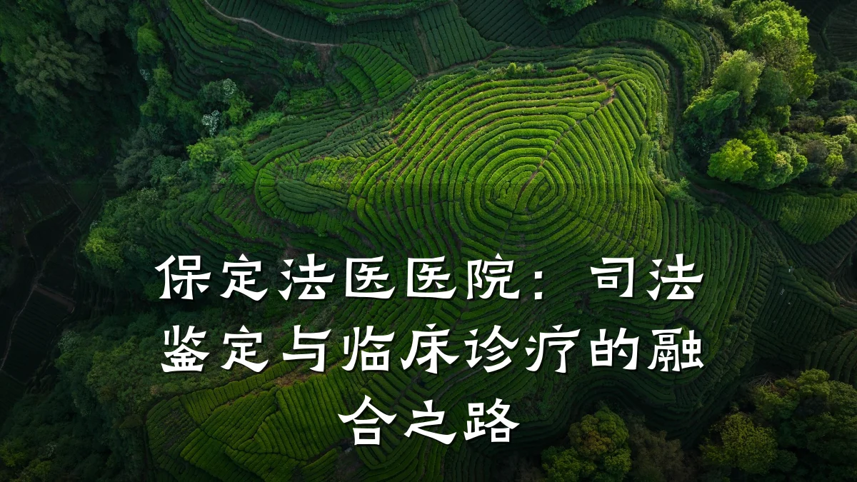 保定法医医院:司法鉴定与临床诊疗的融合之路