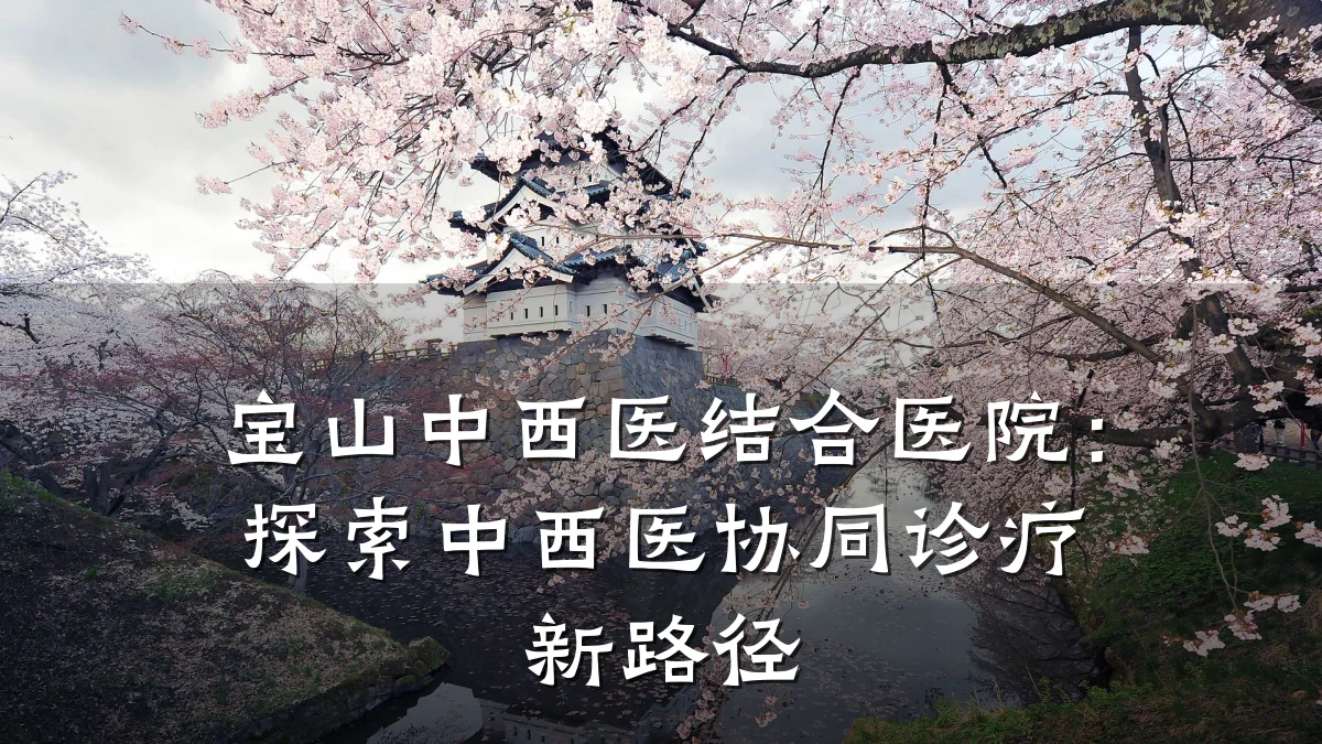 宝山中西医结合医院:探索中西医协同诊疗新路径