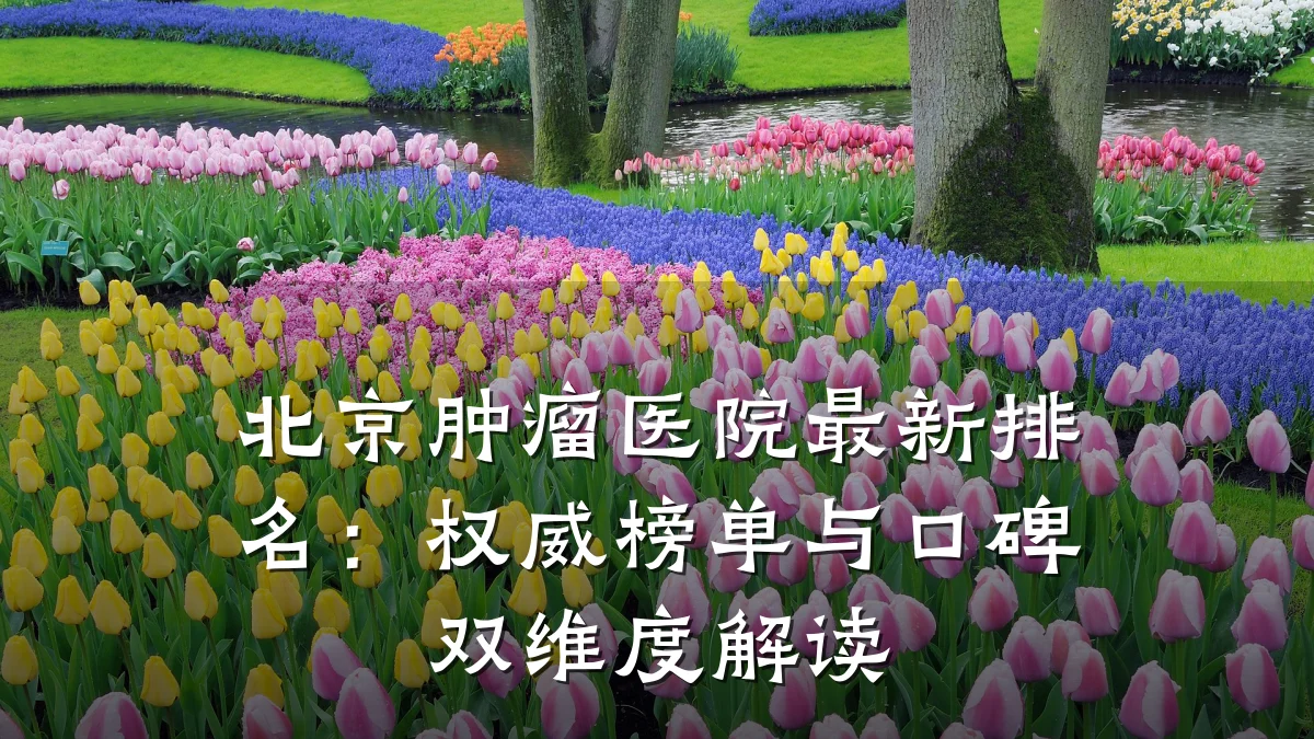 北京肿瘤医院最新排名：权威榜单与口碑双维度解读