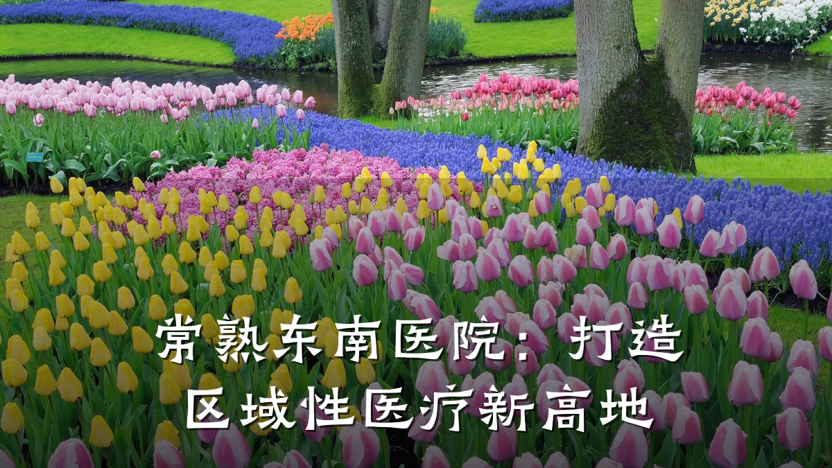 常熟东南医院:打造区域性医疗新高地