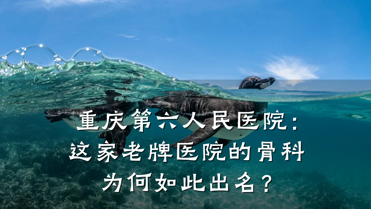 重庆第六人民医院:这家老牌医院的骨科为何如此出名?
