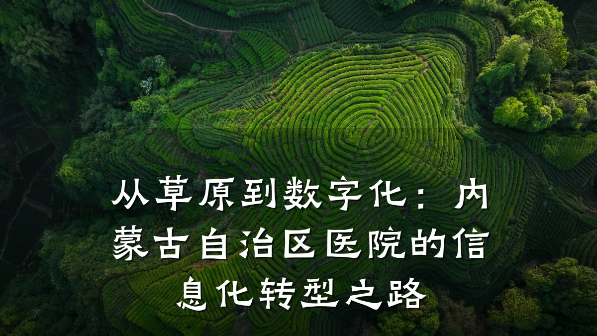 从草原到数字化:内蒙古自治区医院的信息化转型之路