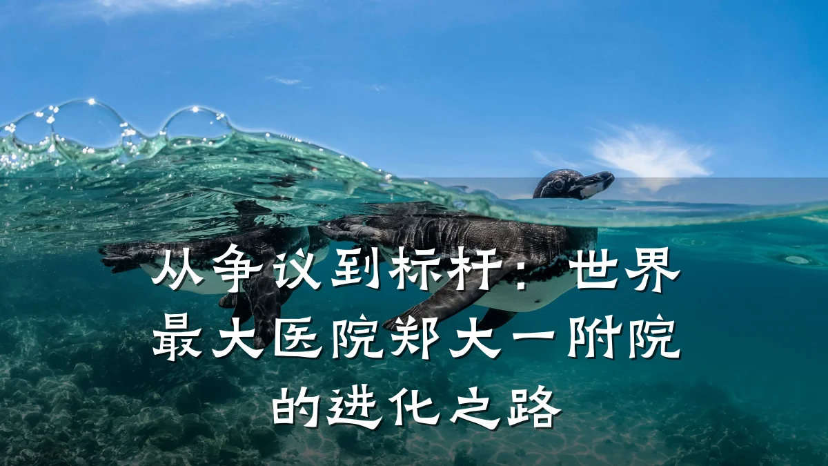 从争议到标杆:世界最大医院郑大一附院的进化之路