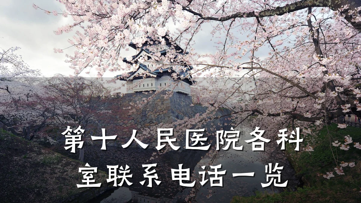 第十人民医院各科室联系电话一览