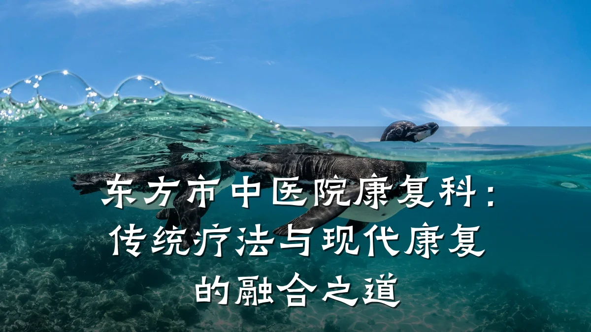 东方市中医院康复科：传统疗法与现代康复的融合之道