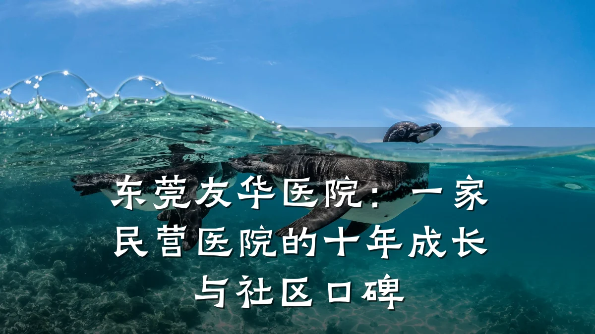 东莞友华医院:一家民营医院的十年成长与社区口碑