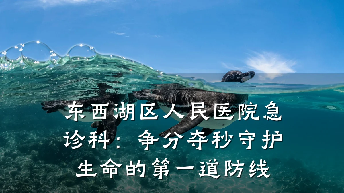 东西湖区人民医院急诊科:争分夺秒守护生命的第一道防线