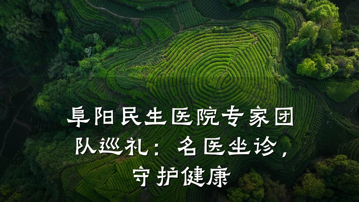 阜阳民生医院专家团队巡礼:名医坐诊,守护健康