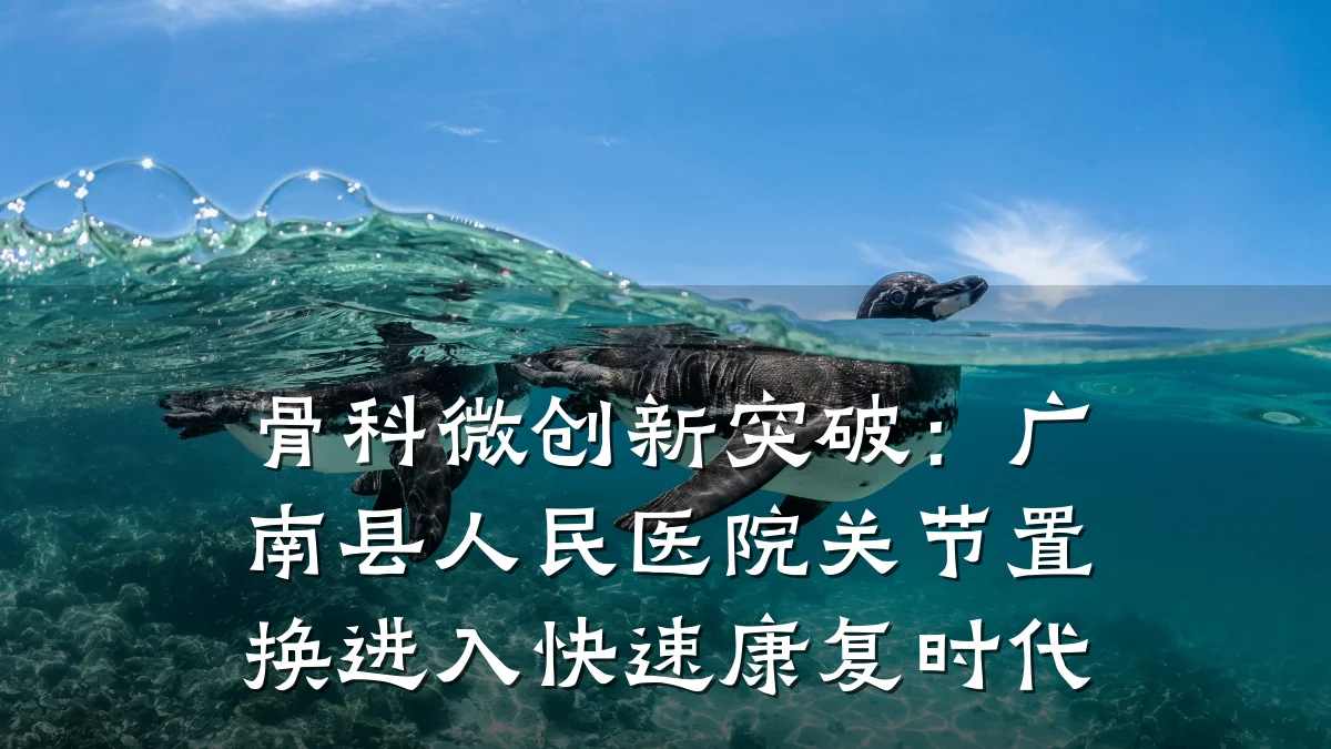 骨科微创新突破:广南县人民医院关节置换进入快速康复时代