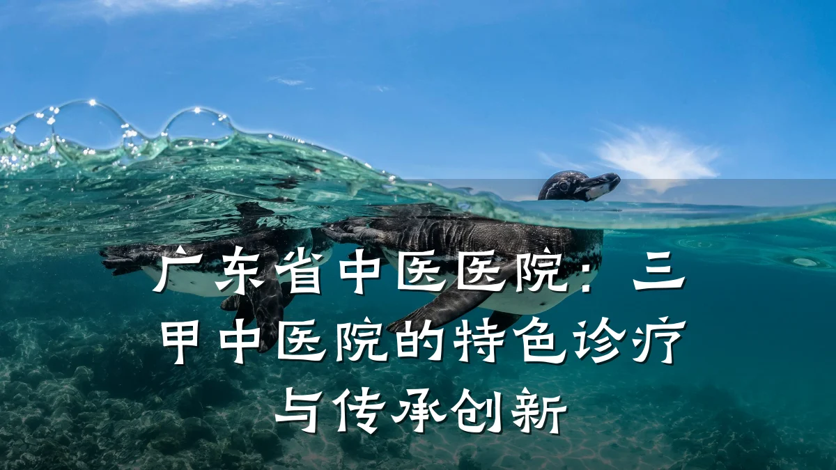 广东省中医医院:三甲中医院的特色诊疗与传承创新