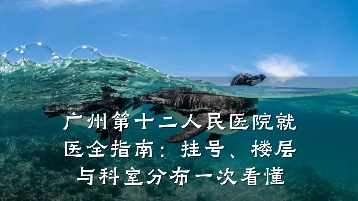 广州第十二人民医院就医全指南:挂号、楼层与科室分布一次看懂