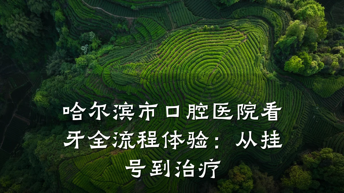 哈尔滨市口腔医院看牙全流程体验:从挂号到治疗