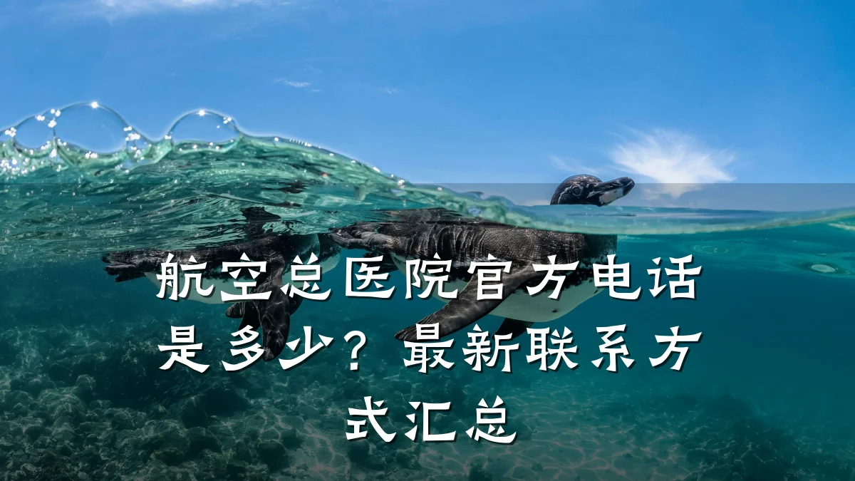 航空总医院官方电话是多少？最新联系方式汇总