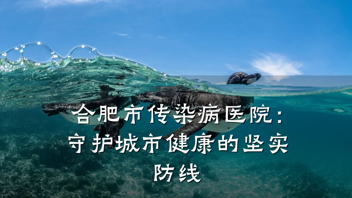 合肥市传染病医院:守护城市健康的坚实防线