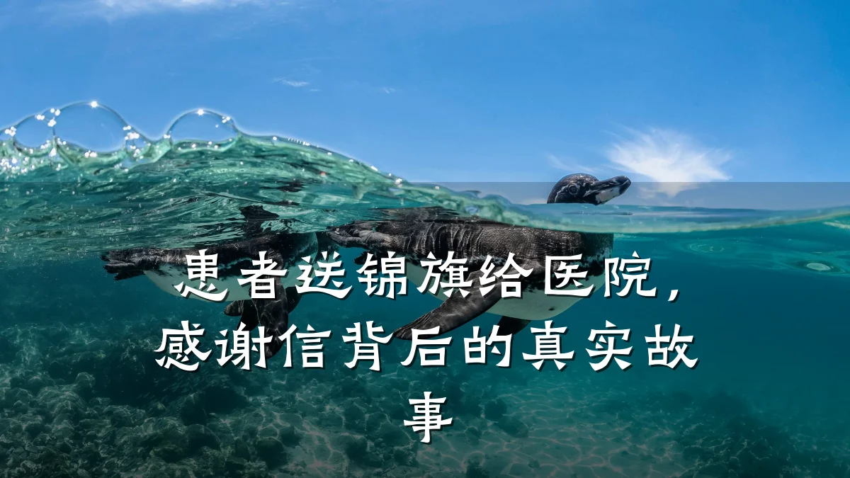 患者送锦旗给医院，感谢信背后的真实故事
