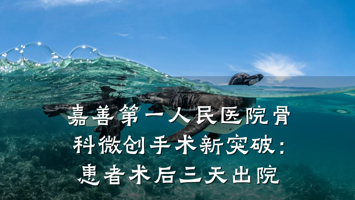 嘉善第一人民医院骨科微创手术新突破:患者术后三天出院
