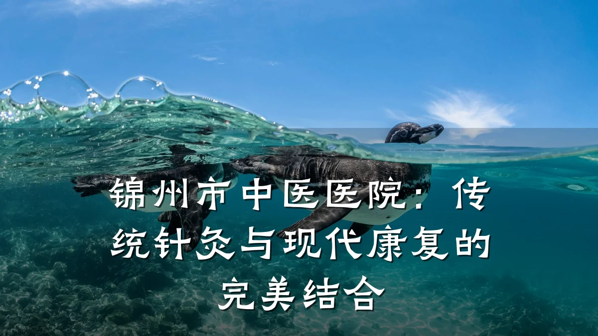 锦州市中医医院:传统针灸与现代康复的完美结合