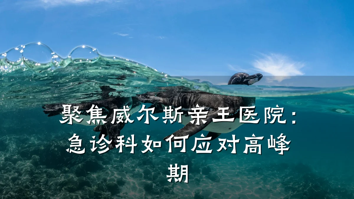 聚焦威尔斯亲王医院：急诊科如何应对高峰期