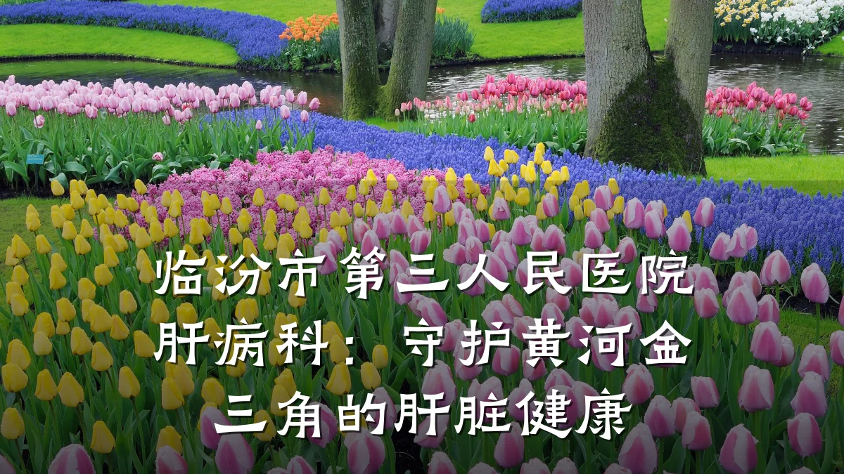 临汾市第三人民医院肝病科：守护黄河金三角的肝脏健康