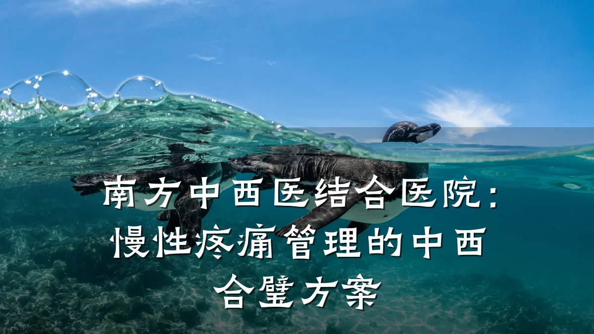 南方中西医结合医院：慢性疼痛管理的中西合璧方案