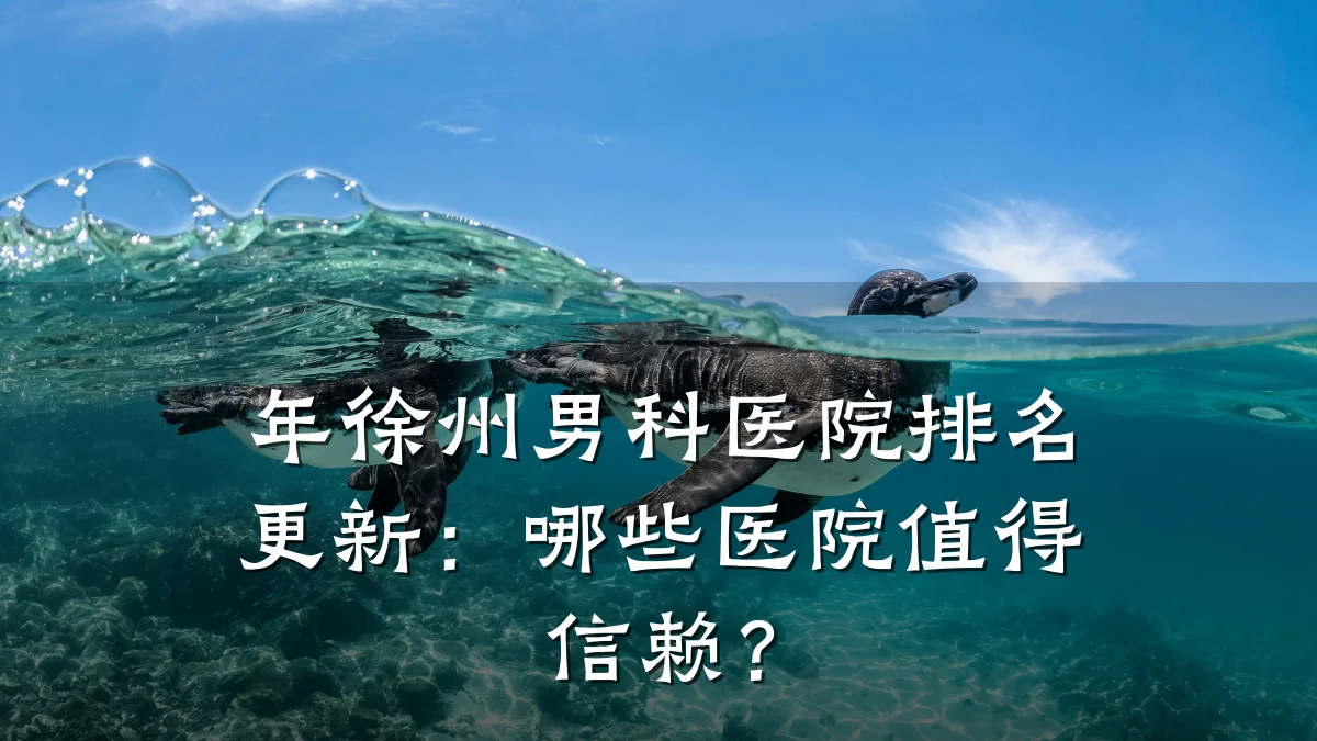 年徐州男科医院排名更新:哪些医院值得信赖?