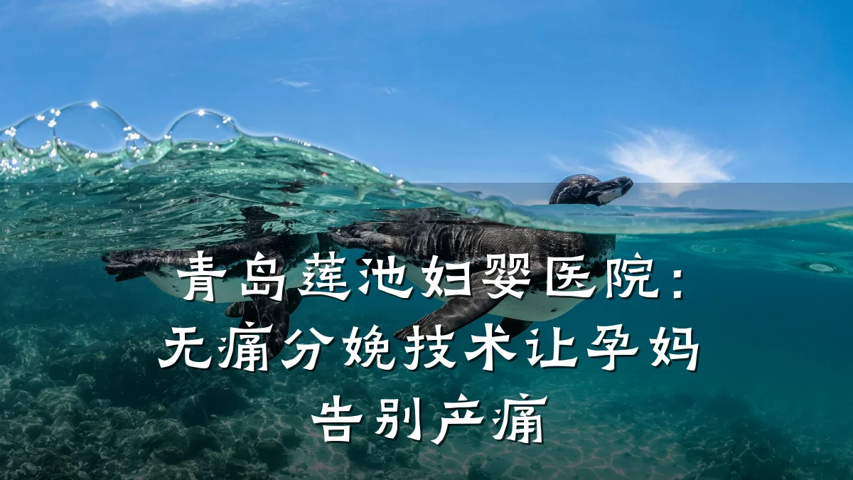 青岛莲池妇婴医院：无痛分娩技术让孕妈告别产痛