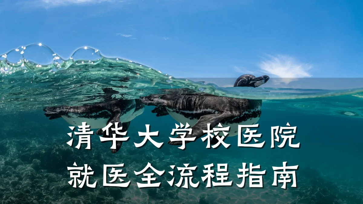 清华大学校医院就医全流程指南