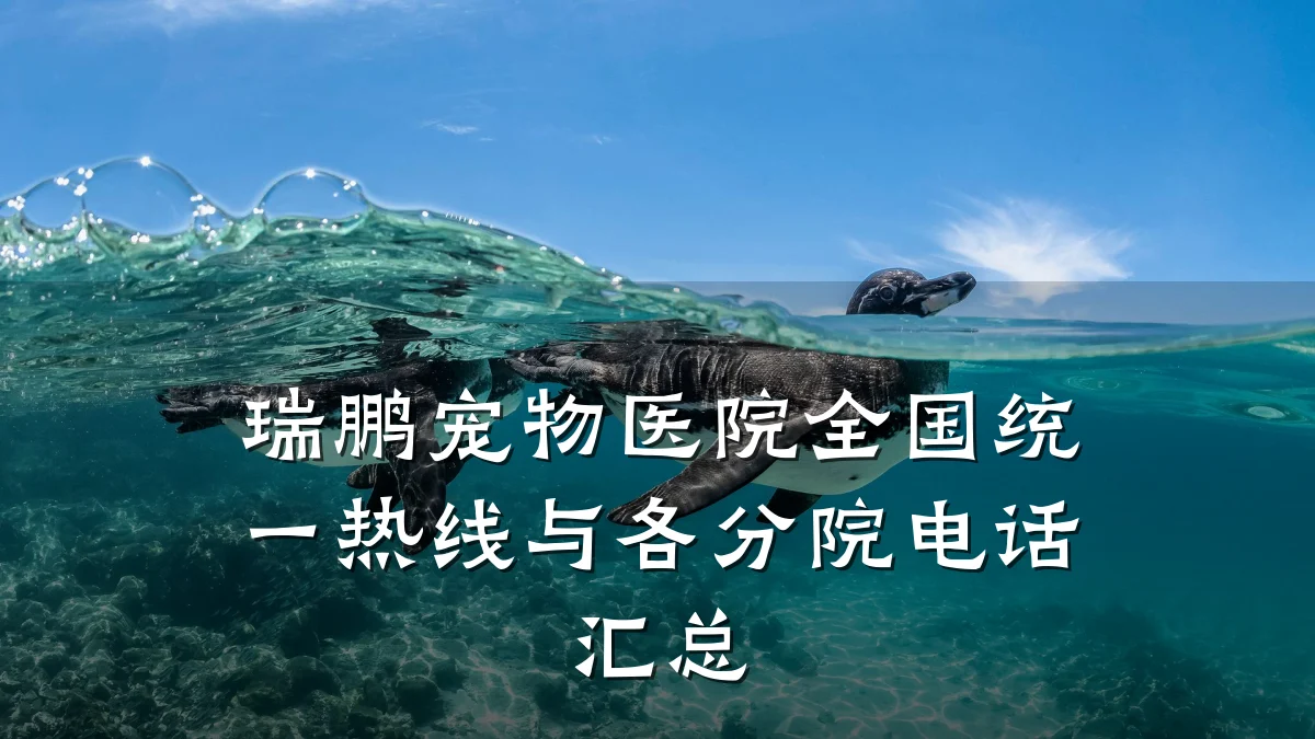 瑞鹏宠物医院全国统一热线与各分院电话汇总