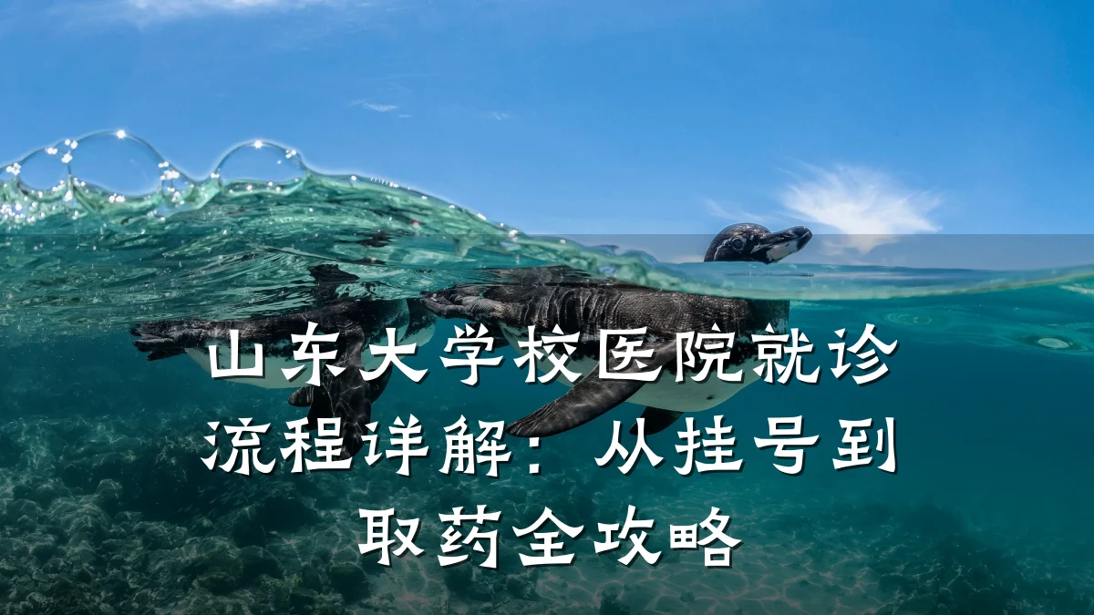 山东大学校医院就诊流程详解:从挂号到取药全攻略