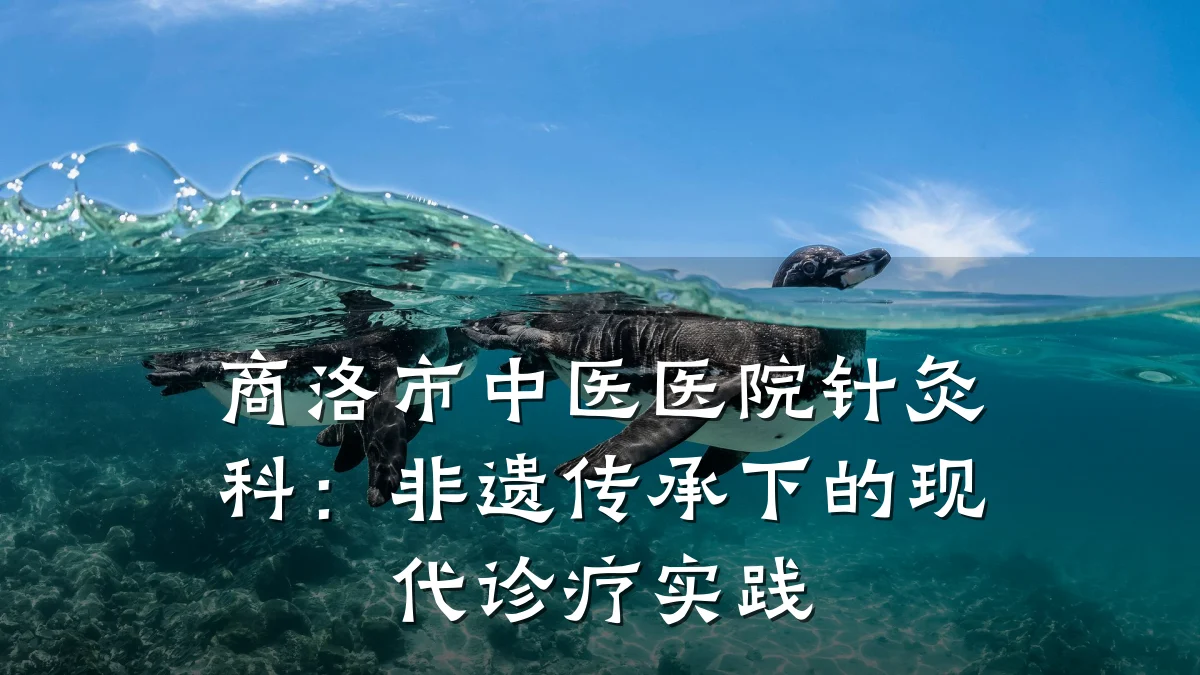 商洛市中医医院针灸科:非遗传承下的现代诊疗实践