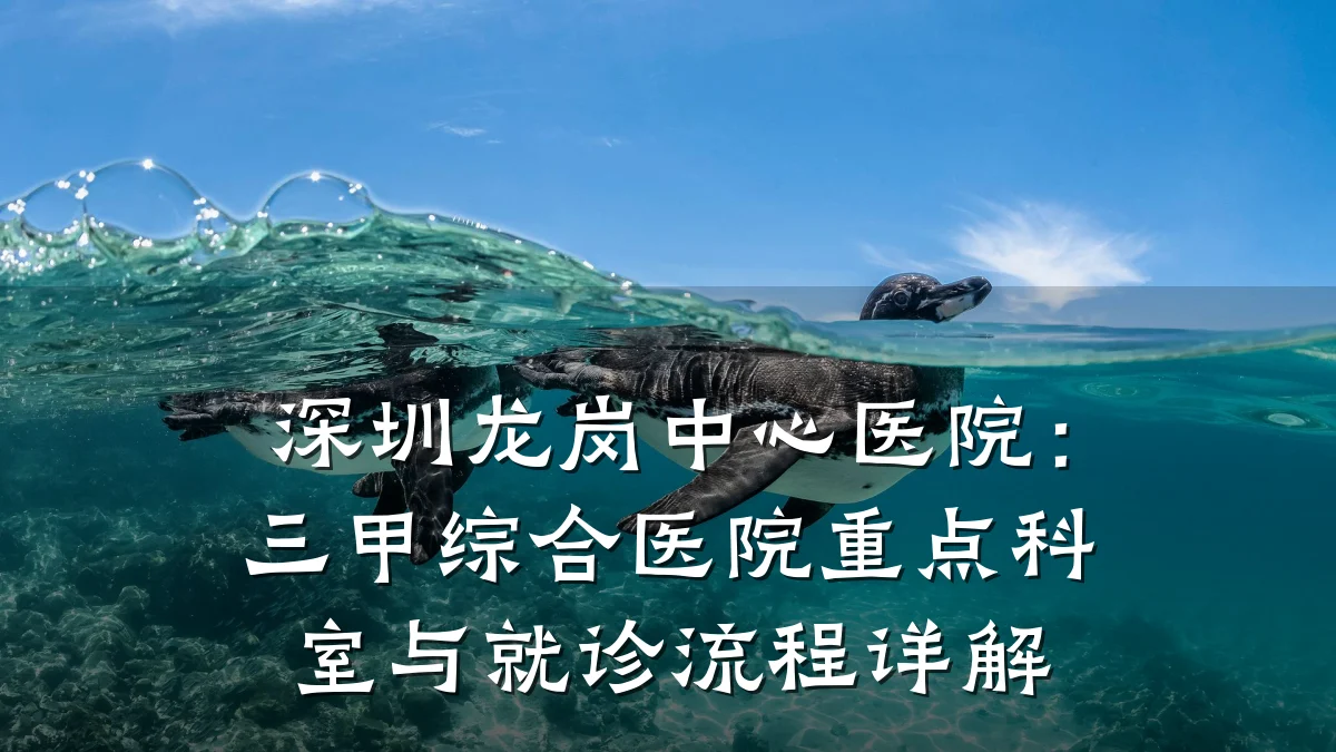 深圳龙岗中心医院：三甲综合医院重点科室与就诊流程详解