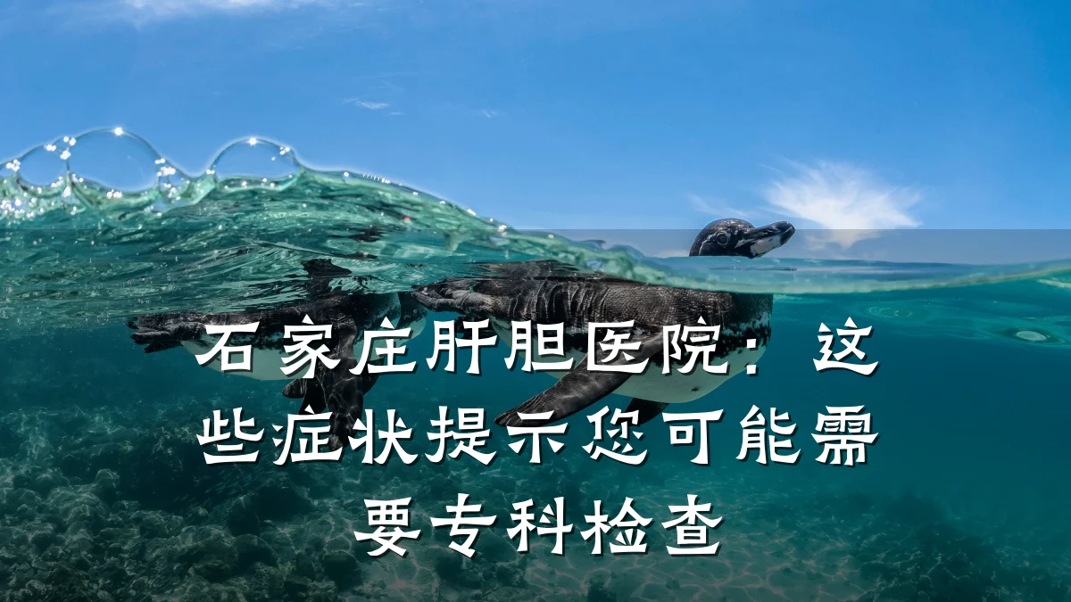 石家庄肝胆医院:这些症状提示您可能需要专科检查