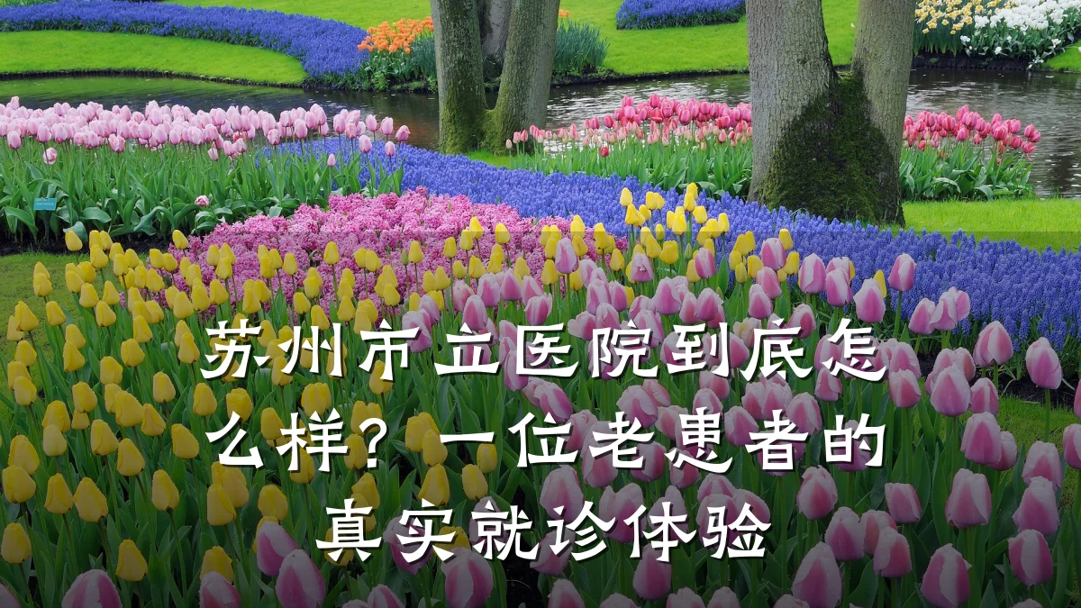 苏州市立医院到底怎么样?一位老患者的真实就诊体验