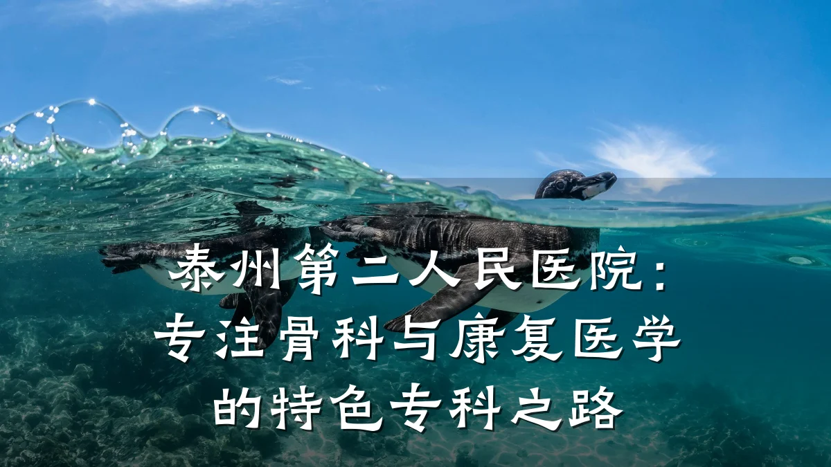 泰州第二人民医院：专注骨科与康复医学的特色专科之路