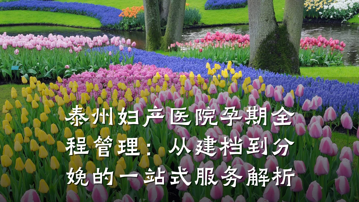 泰州妇产医院孕期全程管理:从建档到分娩的一站式服务解析