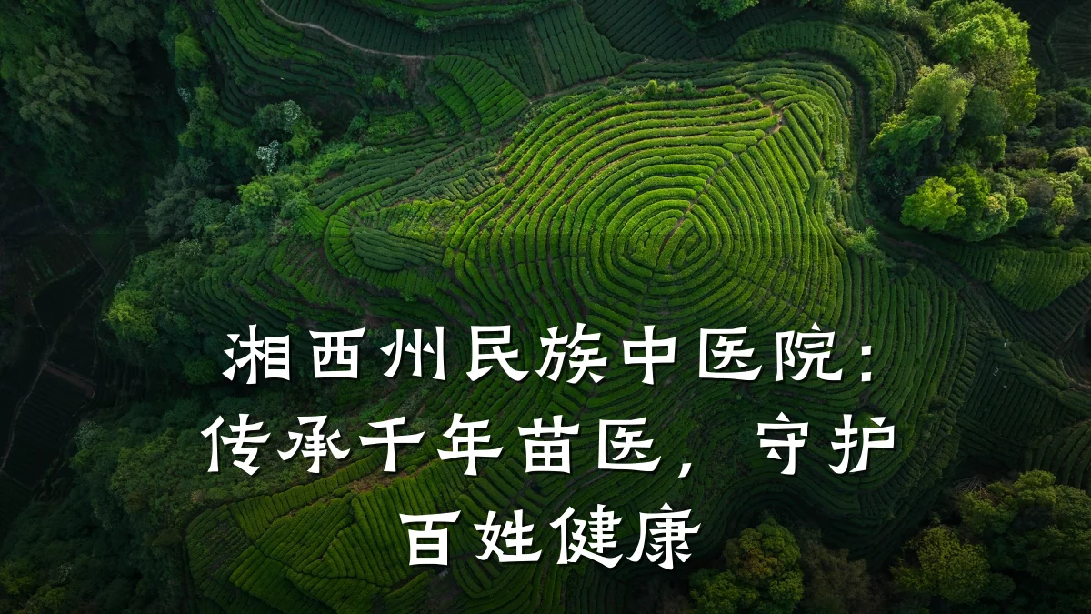 湘西州民族中医院：传承千年苗医，守护百姓健康