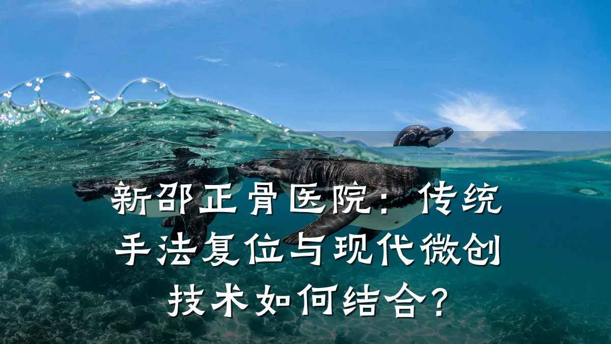 新邵正骨医院：传统手法复位与现代微创技术如何结合？