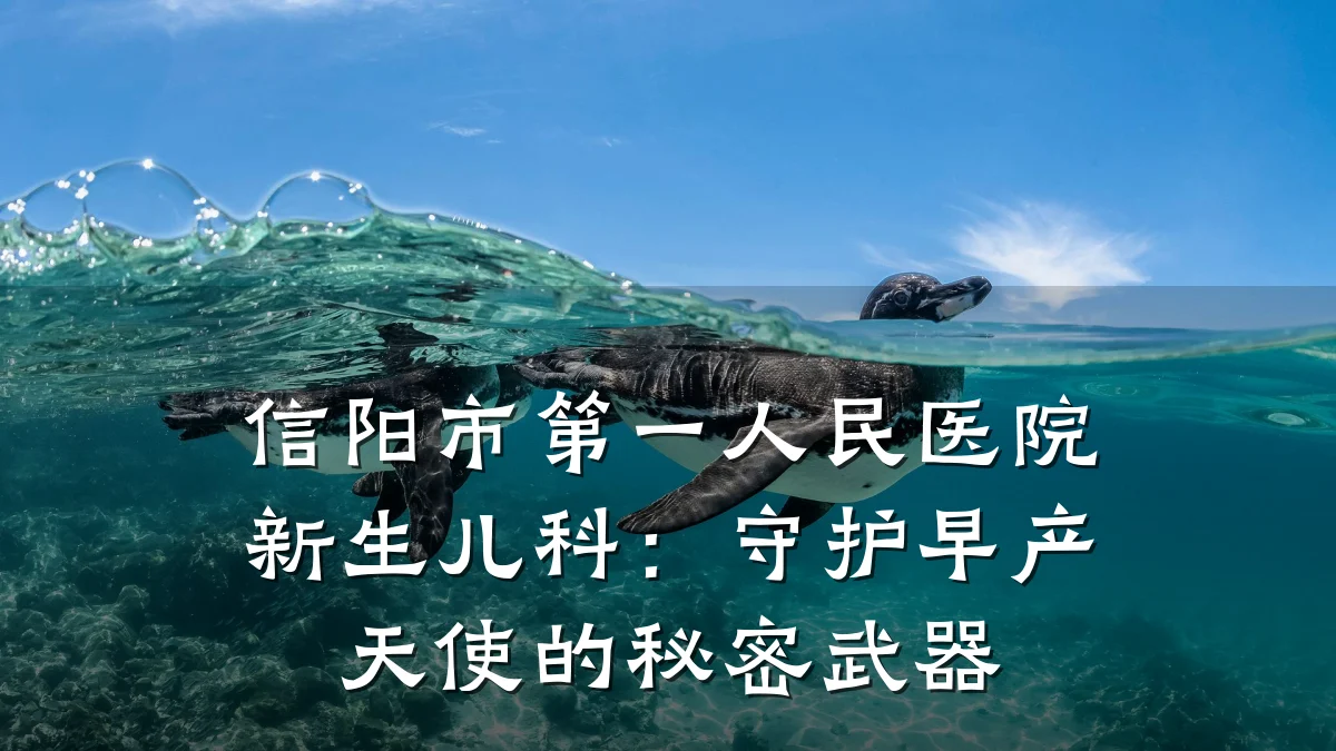 信阳市第一人民医院新生儿科:守护早产天使的秘密武器
