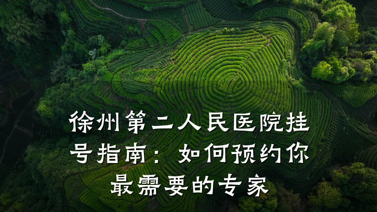 徐州第二人民医院挂号指南:如何预约你最需要的专家