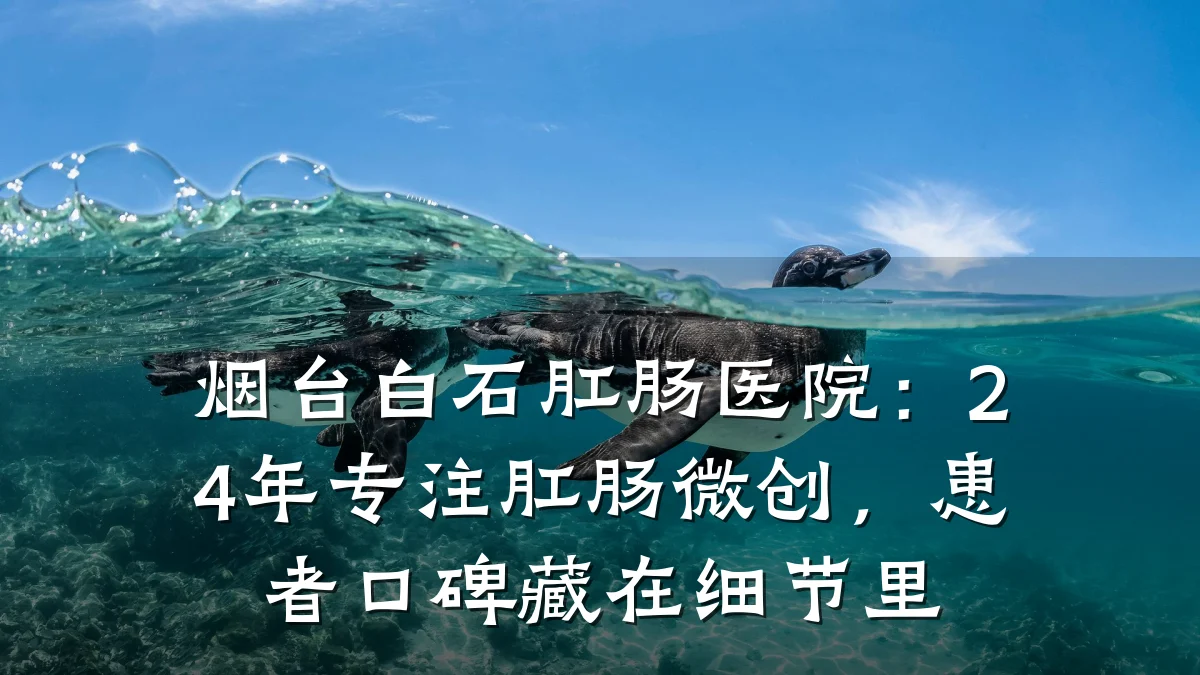 烟台白石肛肠医院:24年专注肛肠微创,患者口碑藏在细节里