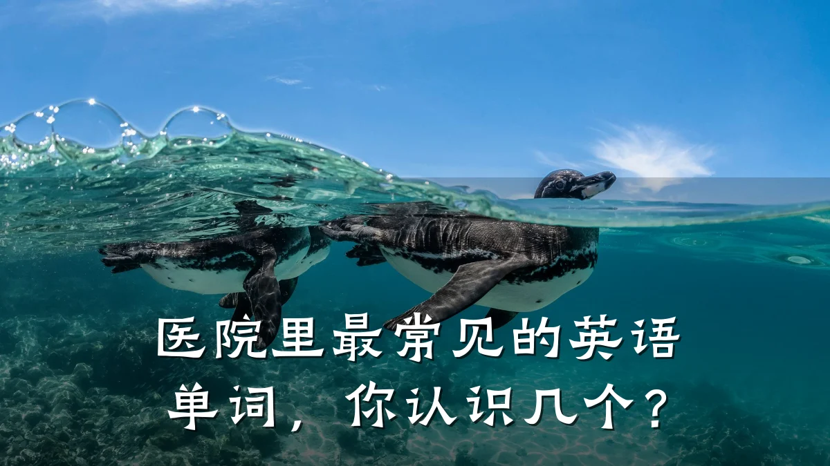 医院里最常见的英语单词,你认识几个?