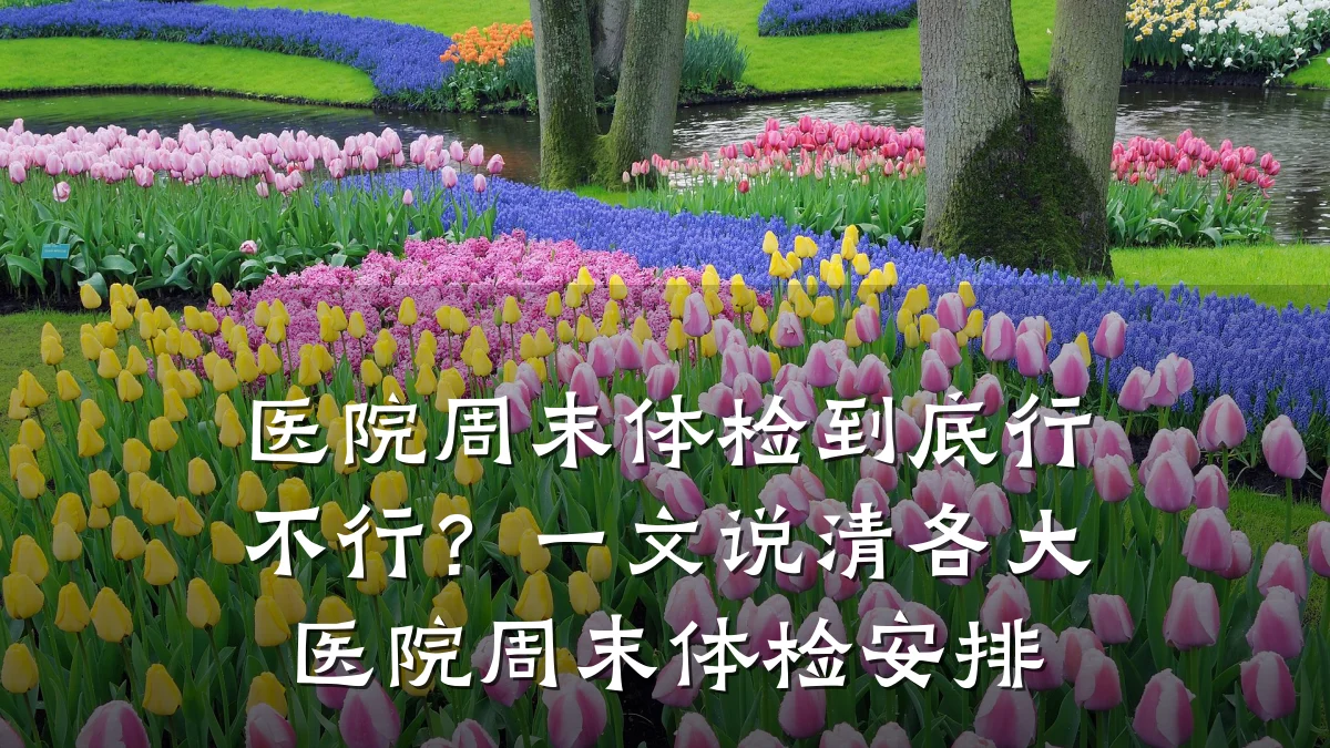 医院周末体检到底行不行?一文说清各大医院周末体检安排