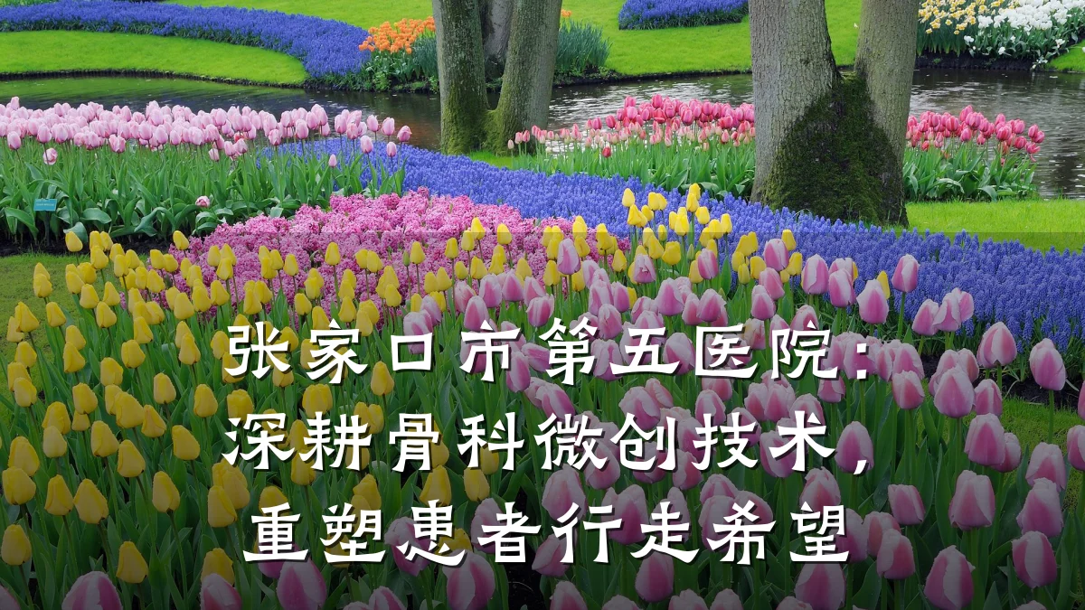 张家口市第五医院:深耕骨科微创技术,重塑患者行走希望