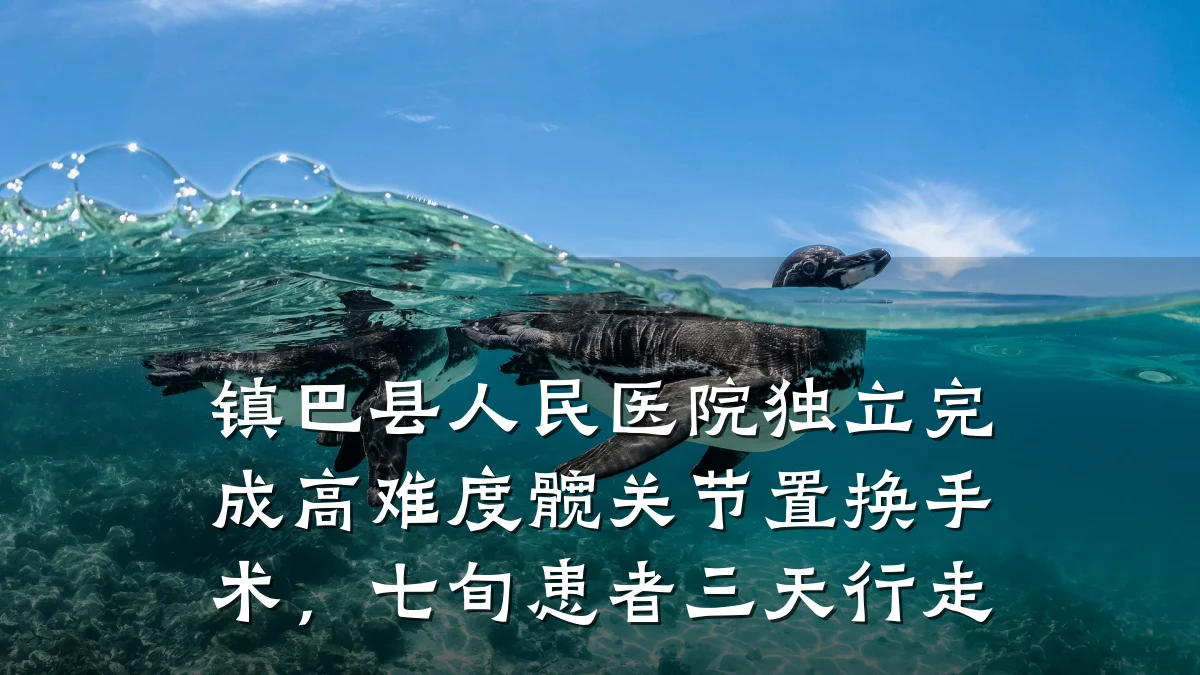 镇巴县人民医院独立完成高难度髋关节置换手术，七旬患者三天行走