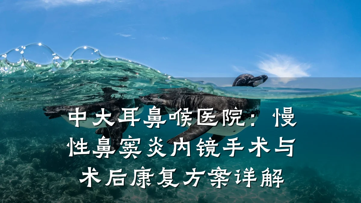 中大耳鼻喉医院：慢性鼻窦炎内镜手术与术后康复方案详解