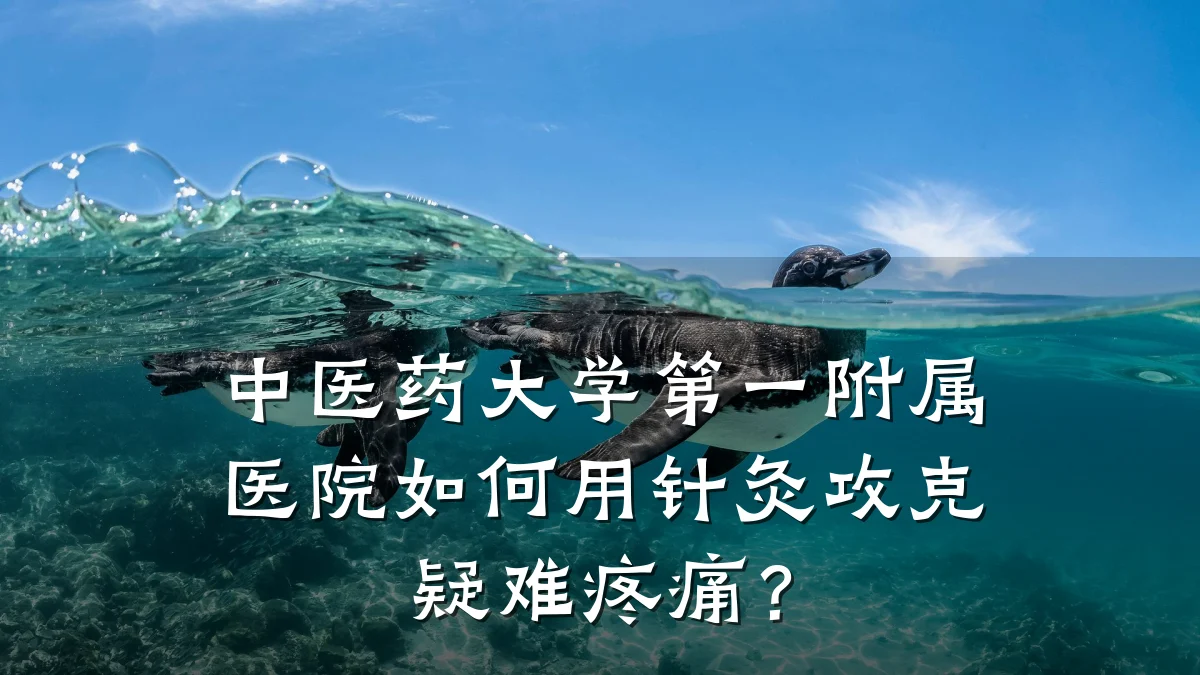 中医药大学第一附属医院如何用针灸攻克疑难疼痛?