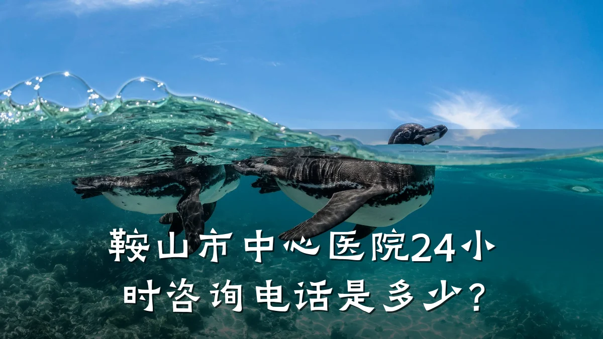 鞍山市中心医院24小时咨询电话是多少?