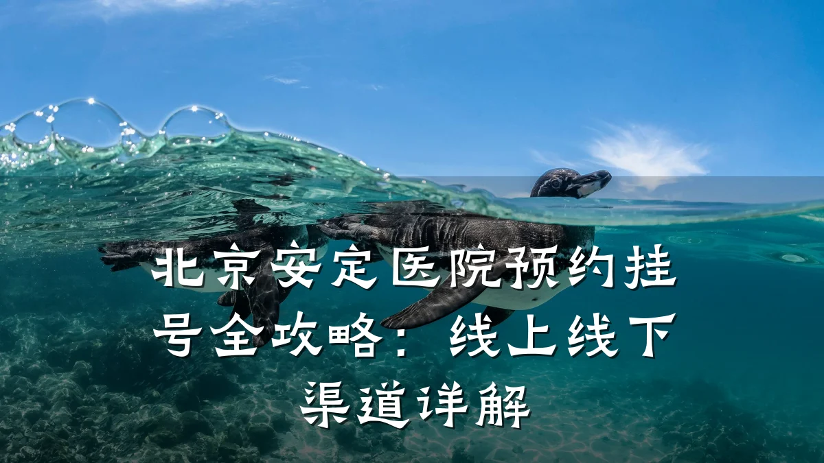 北京安定医院预约挂号全攻略:线上线下渠道详解